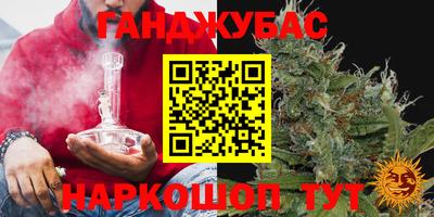 прущие крисы Будённовск