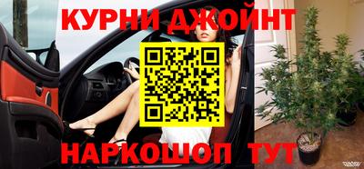 прущие крисы Будённовск