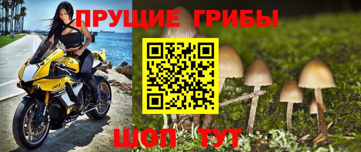 Псилоцибиновые грибы MAGIC MUSHROOMS Ессентуки