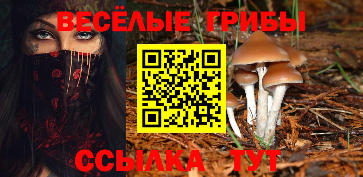 Ессентуки  Псилоцибиновые грибы MAGIC MUSHROOMS  Вход с VPN 