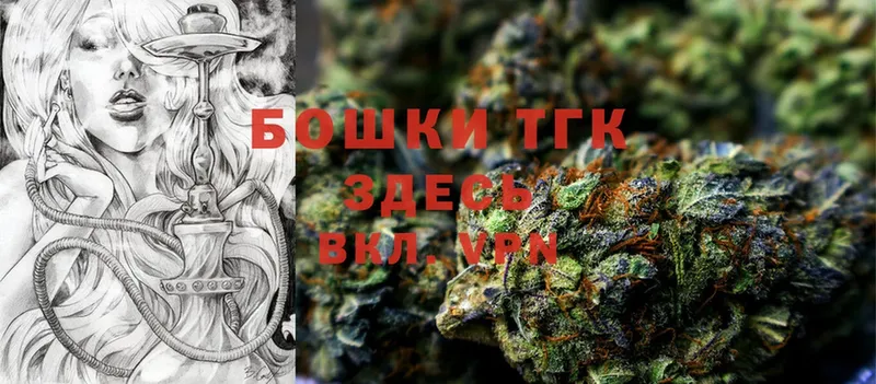 Бошки Шишки OG Kush  наркота  Ессентуки 