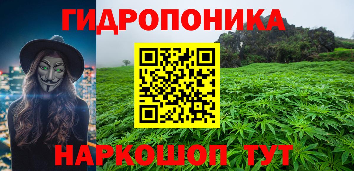 Канабис ГИДРОПОН  Канабис ГИДРОПОН  Ессентуки 